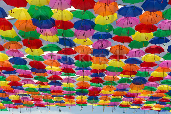 Umbrellas Stock photo © hsfelix