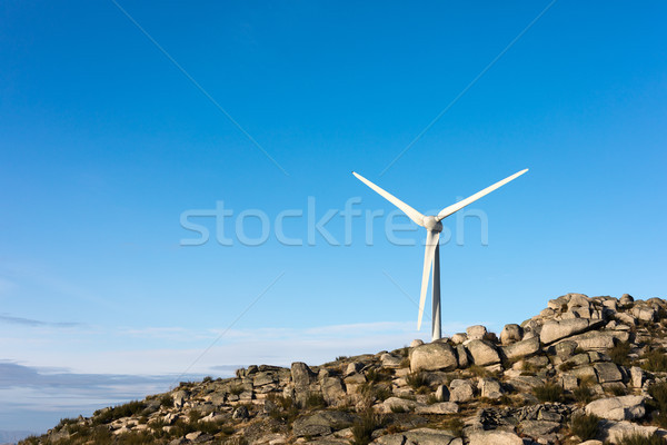 Wind Energie schönen blauer Himmel Sonnenuntergang Technologie Stock foto © hsfelix