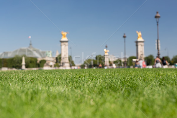 Beautiful garden in Paris Stock photo © hsfelix