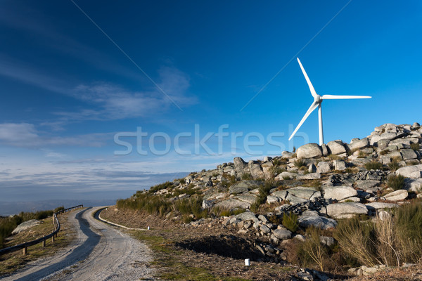 Wind Energie schönen blauer Himmel Sonnenuntergang Technologie Stock foto © hsfelix