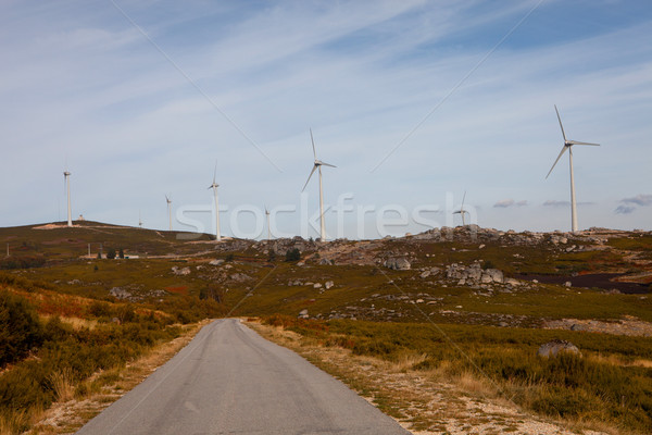 Wind energy turbines Stock photo © hsfelix