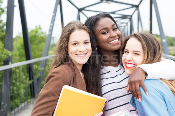 Ein anderer Tag Universität Gruppe jungen Stock foto © hsfelix