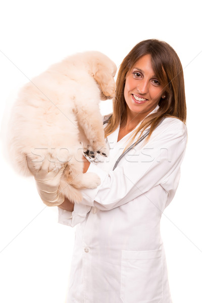 Zdjęcia stock: Lekarz · weterynarii · piękna · golden · retriever · szczeniak · kobieta · psa