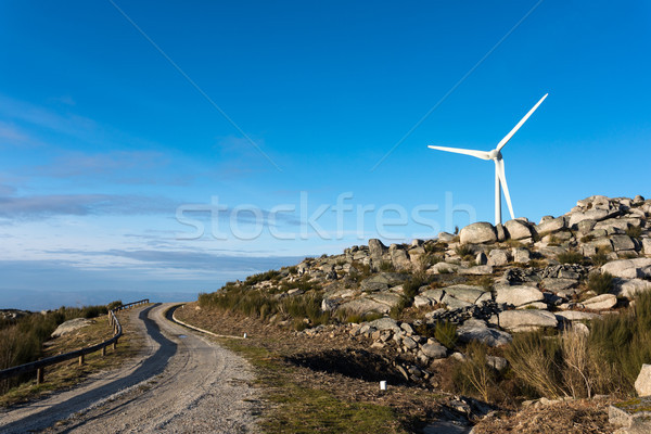 Wind Energie schönen blauer Himmel Sonnenuntergang Technologie Stock foto © hsfelix