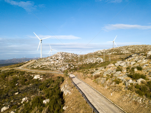 Wind energy turbines Stock photo © hsfelix