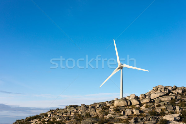 Wind Energie schönen blauer Himmel Sonnenuntergang Technologie Stock foto © hsfelix