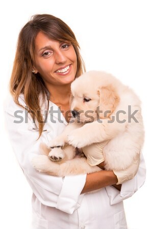 Veterinario hermosa golden retriever cachorro mujer perro Foto stock © hsfelix