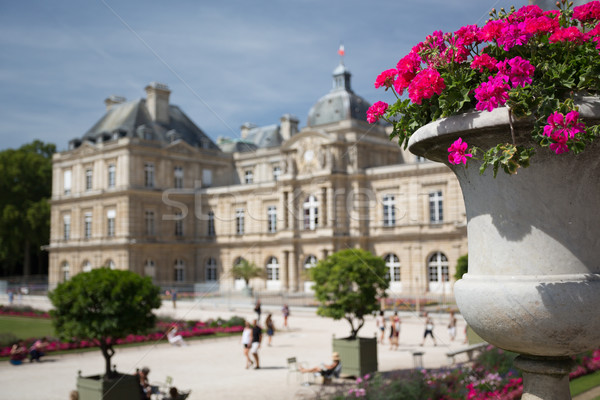 Lussemburgo palazzo bella Parigi Francia fiore Foto d'archivio © hsfelix