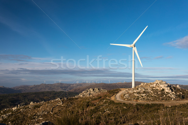 Wind energie mooie blauwe hemel zonsondergang technologie Stockfoto © hsfelix