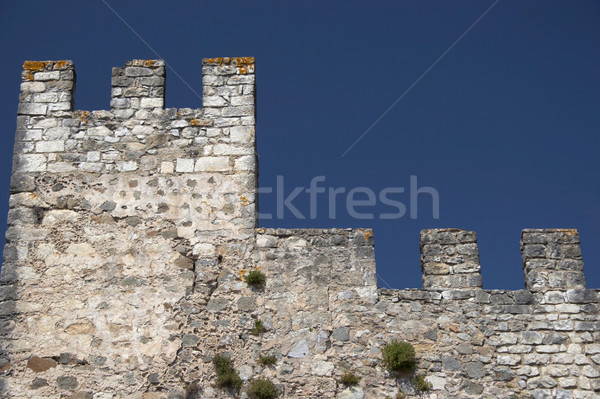 Castle wall and defensive tower, isolated Stock photo © hsfelix