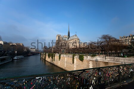 Notre Dame of Paris Stock photo © hsfelix