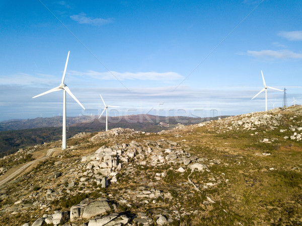 Rüzgâr enerji güzel mavi gökyüzü gün batımı teknoloji Stok fotoğraf © hsfelix