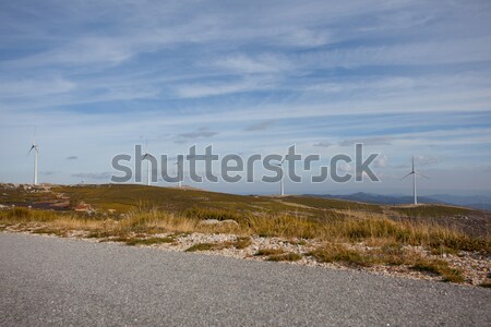 Wind energy turbines Stock photo © hsfelix