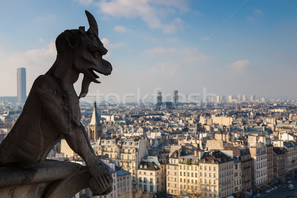 Notre Dame of Paris Stock photo © hsfelix