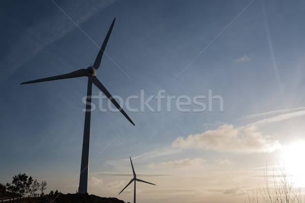 Wind Energie schönen blauer Himmel Sonnenuntergang Technologie Stock foto © hsfelix