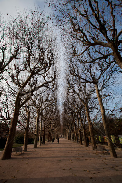 Jardin plantes Paris France eau ville [[stock_photo]] © hsfelix