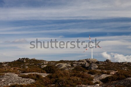 Wind energy turbines Stock photo © hsfelix