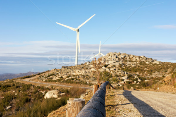 Wind Energie schönen blauer Himmel Sonnenuntergang Technologie Stock foto © hsfelix