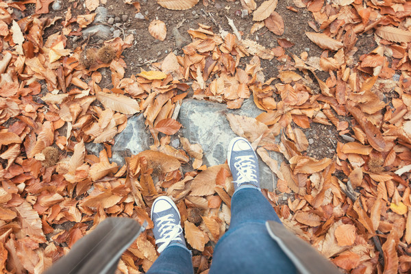 Woman standing in dry autumn leaves Stock photo © hsfelix