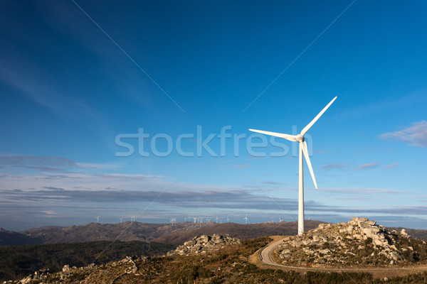 Wind energie mooie blauwe hemel zonsondergang technologie Stockfoto © hsfelix