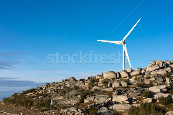 Wind Energie schönen blauer Himmel Sonnenuntergang Technologie Stock foto © hsfelix