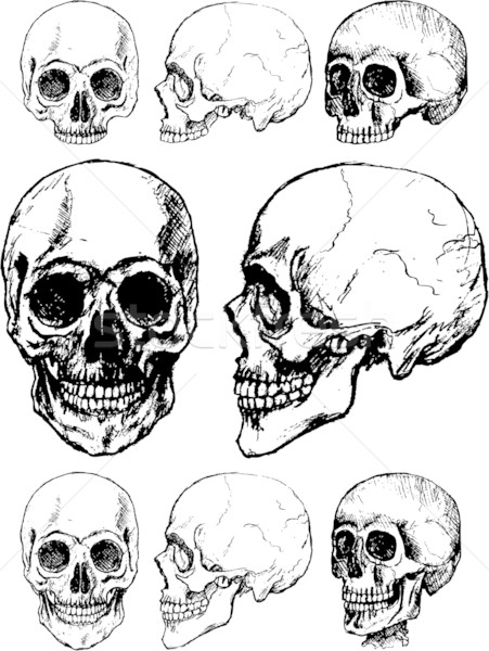 Cráneo diseno marco arte muertos miedo Foto stock © hugolacasse