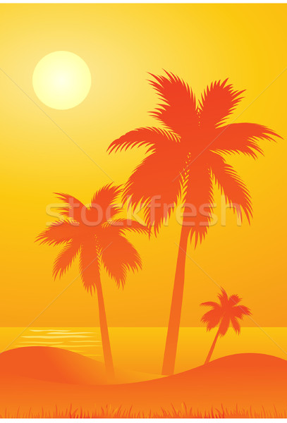 Stock foto: Tropischen · Blume · Meer · Hintergrund · Sommer · Palmen