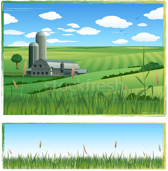 Farm harvest background illustration Stock photo © hugolacasse