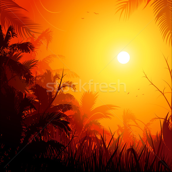 Jungle illustratie bloem bos zonsondergang achtergrond Stockfoto © hugolacasse