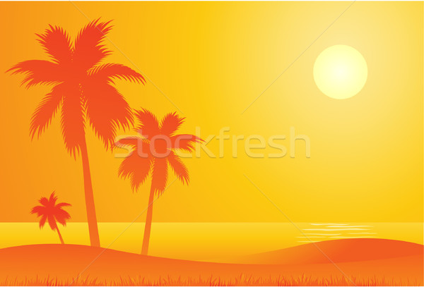 Tropicali fiore mare sfondo estate Palm Foto d'archivio © hugolacasse
