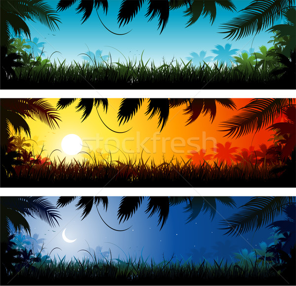 Jungle illustration fleur forêt coucher du soleil fond Photo stock © hugolacasse