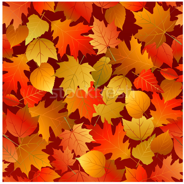 Herbstlaub Muster Baum Mode Natur Stock foto © hugolacasse