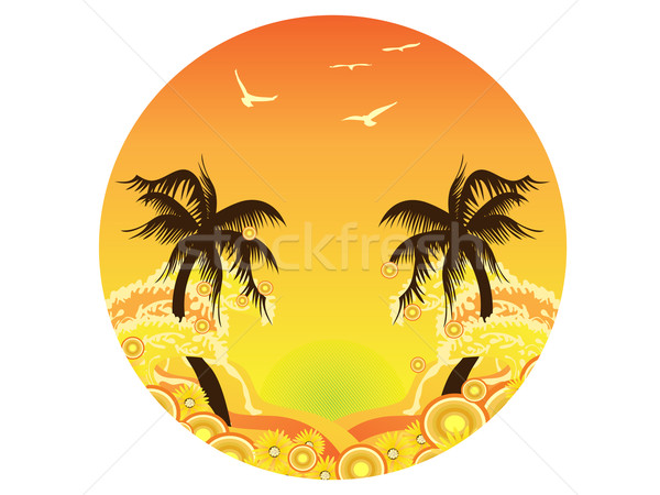 Palmier coucher du soleil plage fleur eau [[stock_photo]] © huhulin