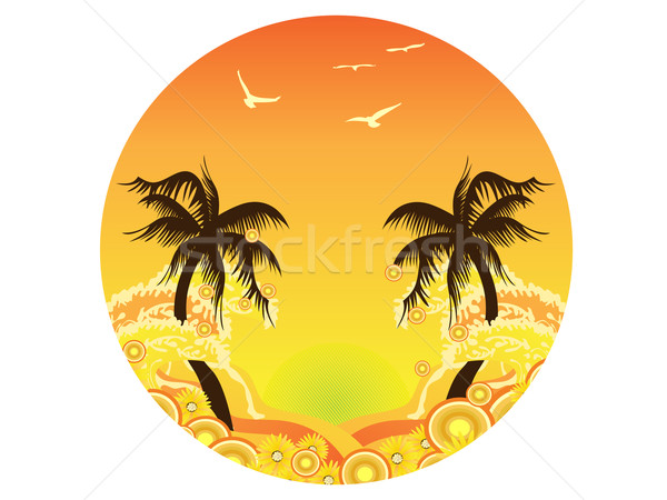 Stock foto: Palme · Sonnenuntergang · Strand · Blume · Wasser