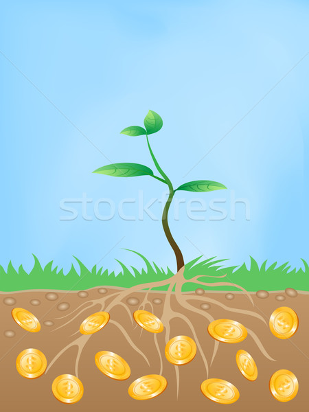 Stock foto: Baum · Geld · U · Himmel · Blatt