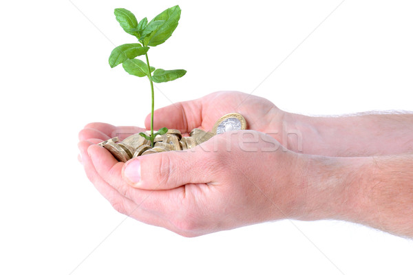 [[stock_photo]]: Mains · argent · croissance · tas · pièces