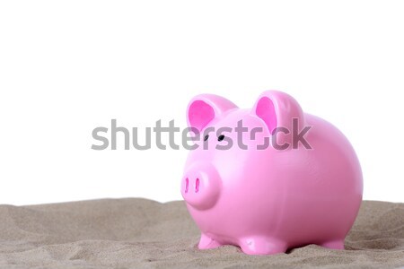 holiday savings Stock photo © hyrons