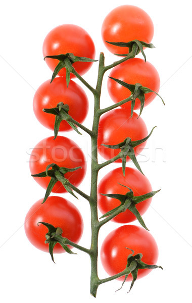 Вишневое филиала помидоры черри изолированный белый продовольствие Сток-фото © hyrons