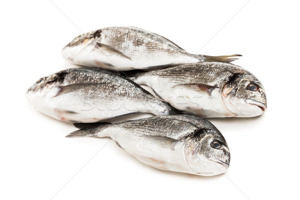 Gilthead fish food Stock photo © ia_64