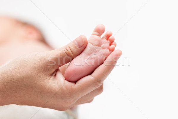Newborn baby child little foot with heel and toes in mother hand Stock photo © ia_64