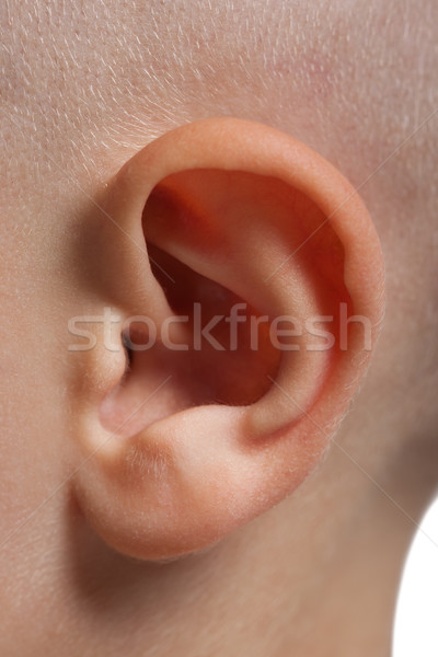 Ear macro Stock photo © ia_64