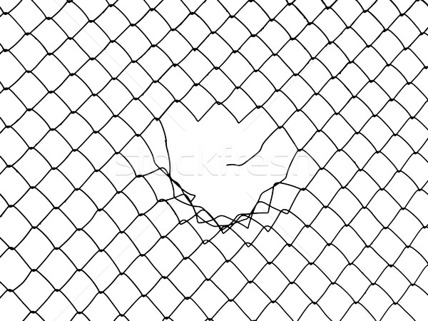 Wire fence Stock photo © ia_64