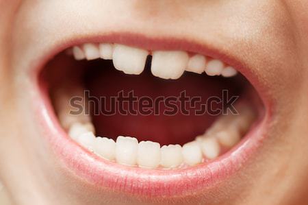 Teeth macro Stock photo © ia_64
