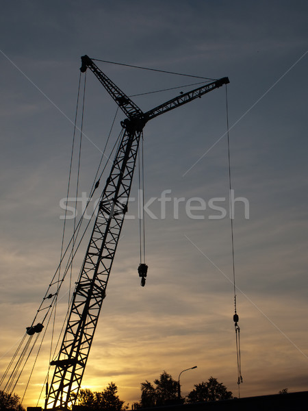 Building crane Stock photo © ia_64