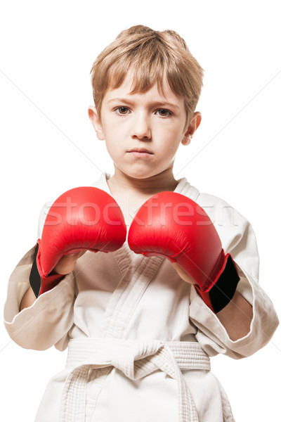 Gyermek fiú kimonó képzés karate harcművészet Stock fotó © ia_64