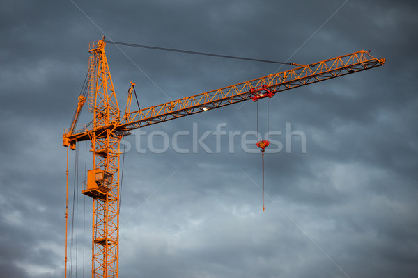 Building tower crane Stock photo © ia_64