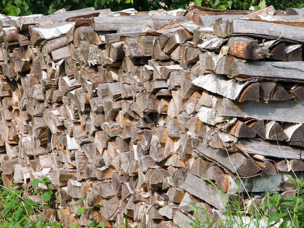 Drewna tarcica drewno opałowe drzewo Zdjęcia stock © ia_64