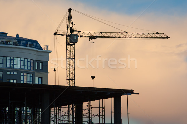 Building tower crane Stock photo © ia_64