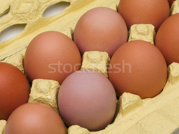 Chicken egg Stock photo © ia_64