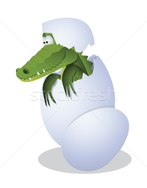 Crocodile and egg Stock photo © iaRada